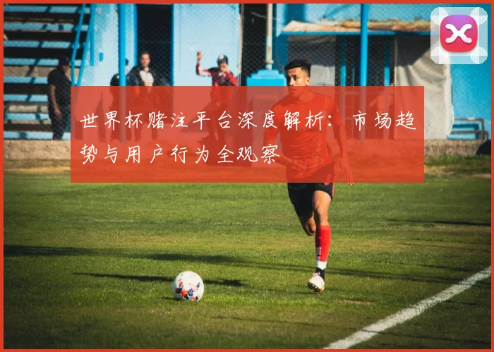 世界杯赌注平台深度解析：市场趋势与用户行为全观察